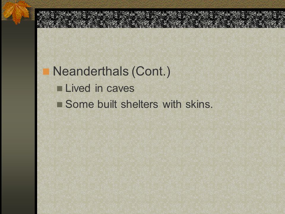 Neanderthals (Cont.) Lived in caves Some built shelters with skins.