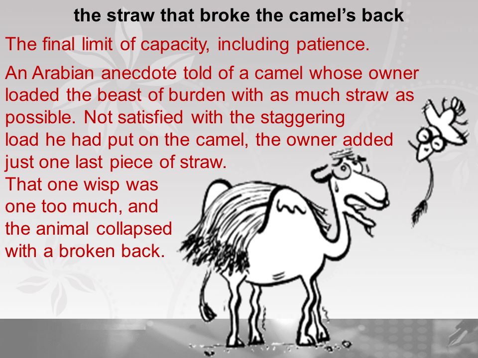 The Final Straw Origin The Final Straw Origin
