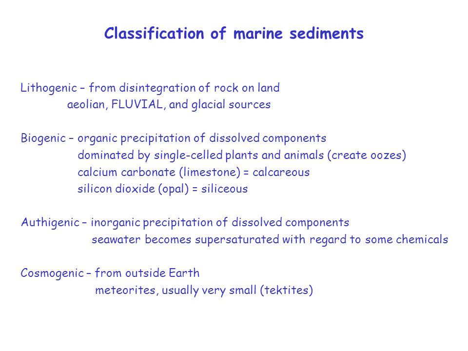 Classification of marine sediments Lithogenic – from disintegration of rock on land aeolian, FLUVIAL, and glacial sources Biogenic – organic precipitation of dissolved components dominated by single-celled plants and animals (create oozes) calcium carbonate (limestone) = calcareous silicon dioxide (opal) = siliceous Authigenic – inorganic precipitation of dissolved components seawater becomes supersaturated with regard to some chemicals Cosmogenic – from outside Earth meteorites, usually very small (tektites)