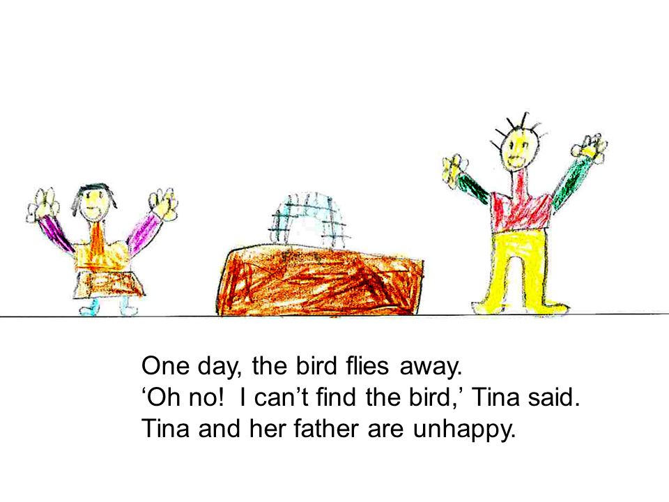 One day, the bird flies away. ‘Oh no. I can’t find the bird,’ Tina said.