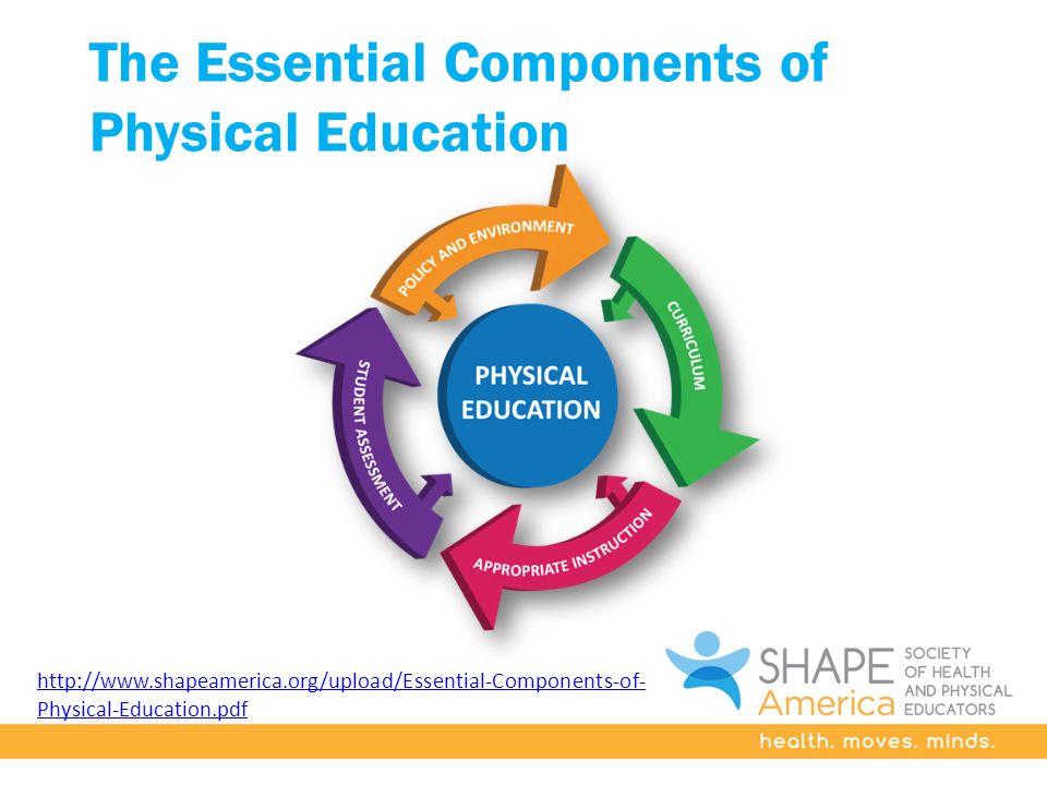 The Essential Components of Physical Education   Physical-Education.pdf