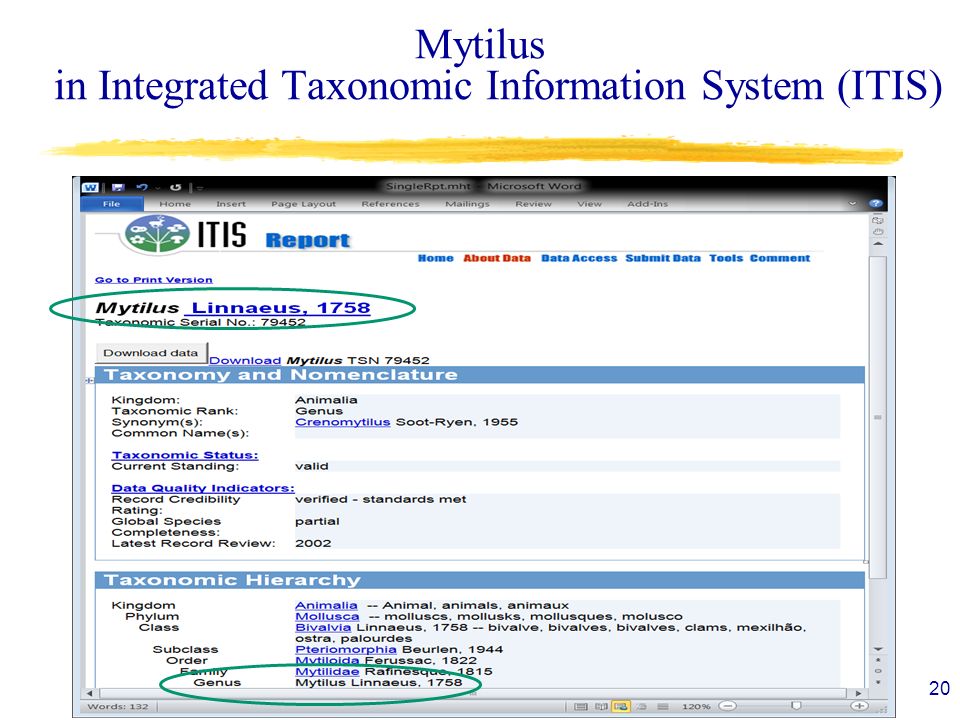 What is Linked Open Data (LOD)? A Brief Primer Ecoinformatics ...