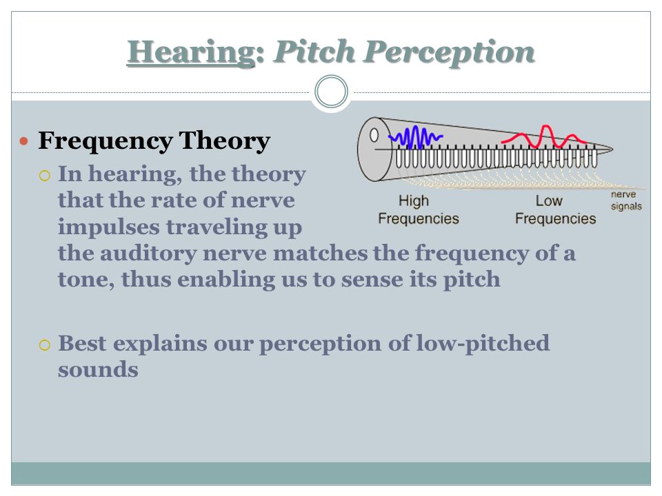 frequency theory of hearing