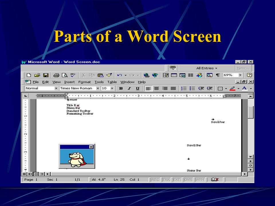 parts of ms word screen