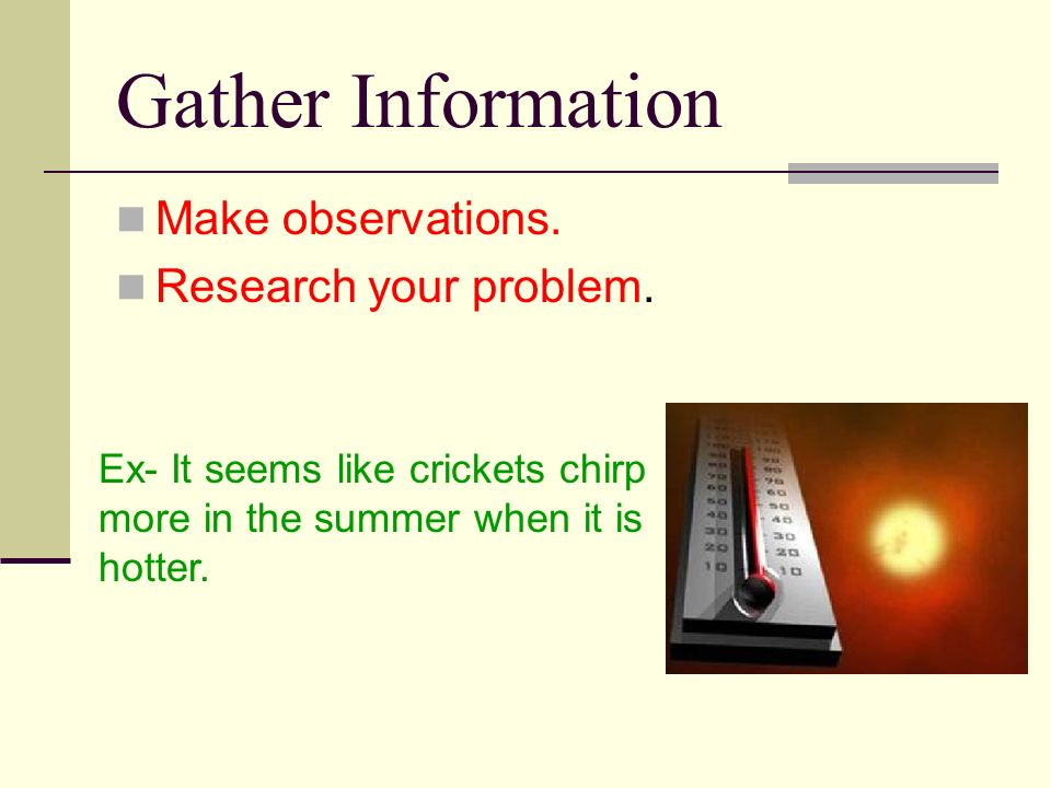 Gather Information Make observations. Research your problem.