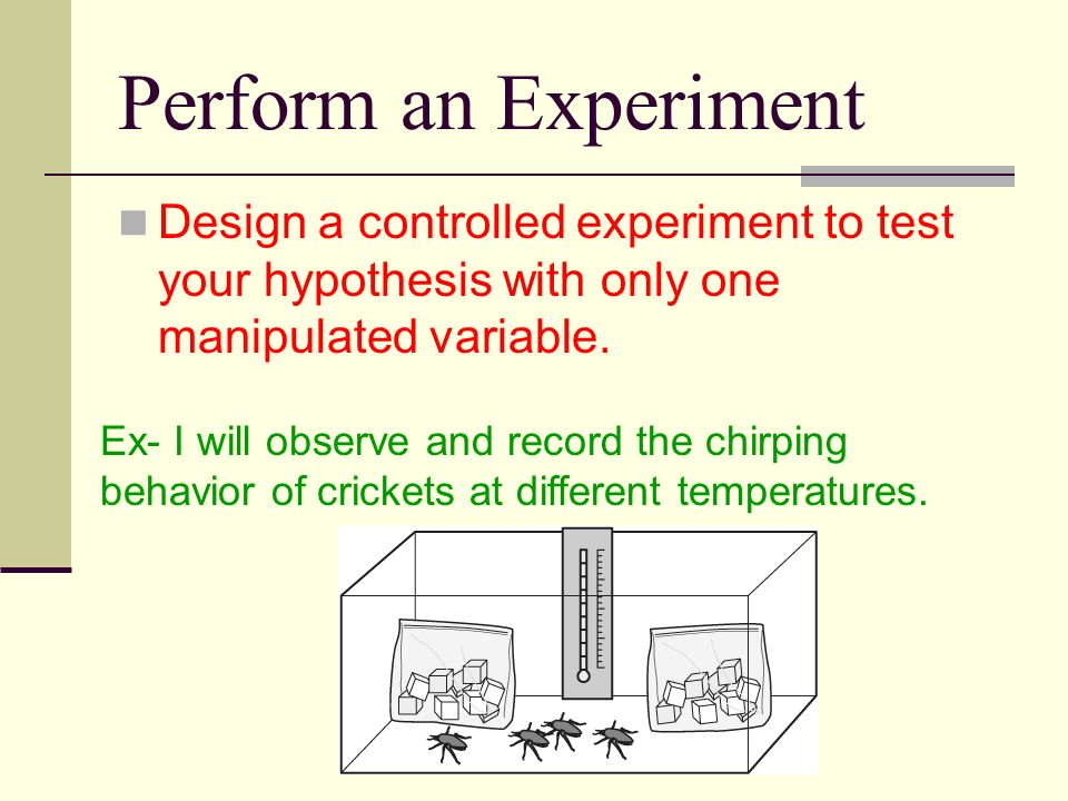 Perform an Experiment Design a controlled experiment to test your hypothesis with only one manipulated variable.