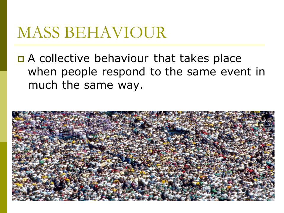 what is crowd behaviour