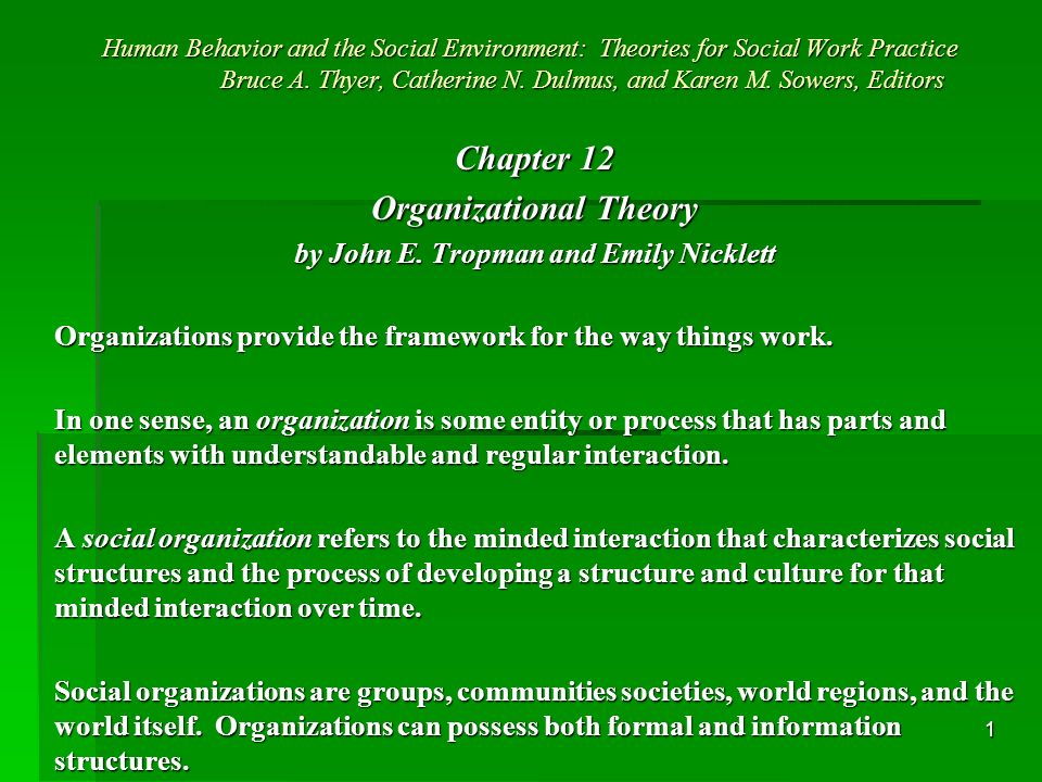 1 Human Behavior and the Social Environment: Theories for Social Work Practice Bruce A.