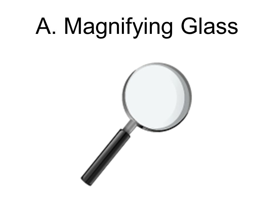 Laboratory Equipment. A. Magnifying Glass B. Dissecting Tray. - ppt download