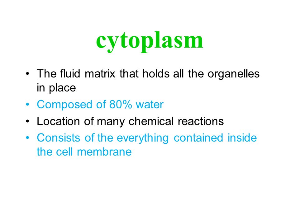 The organelles of plant and animal cells. Generalized plant cell. - ppt ...