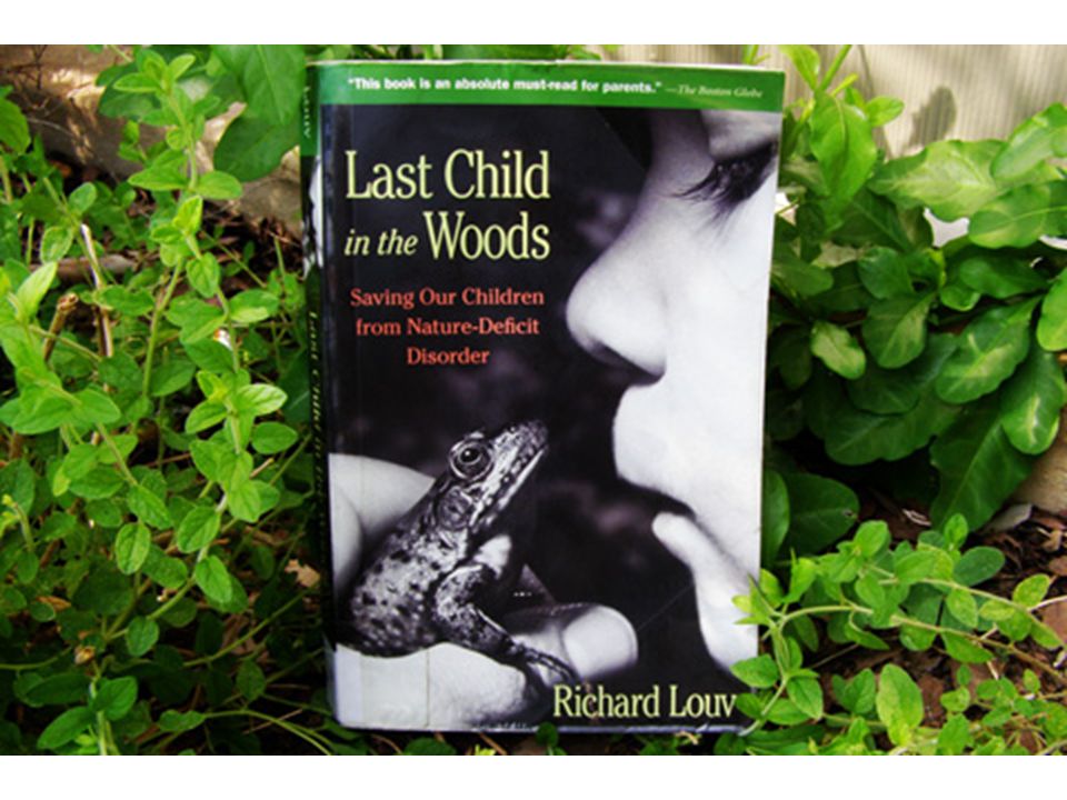 The last book i read was. Last child in the Woods книга. Последний ребенок в лесу книга. Save our nature.