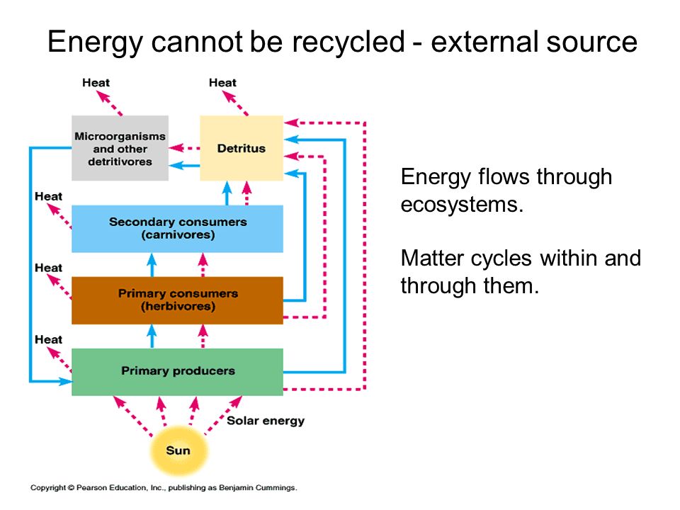 Energy cannot be recycled - external source Energy flows through ecosystems.
