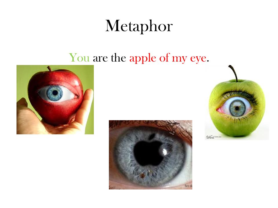 Metaphor You are the apple of my eye.
