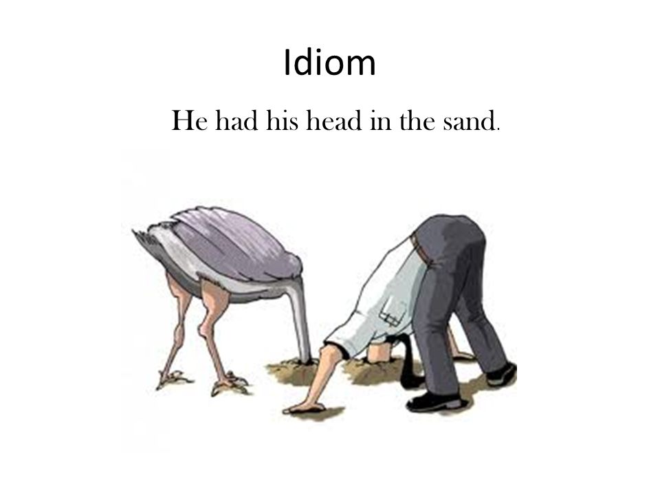 Idiom He had his head in the sand.