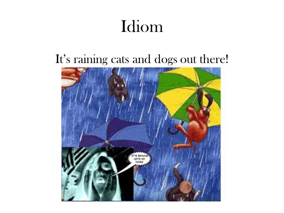 Idiom It’s raining cats and dogs out there!