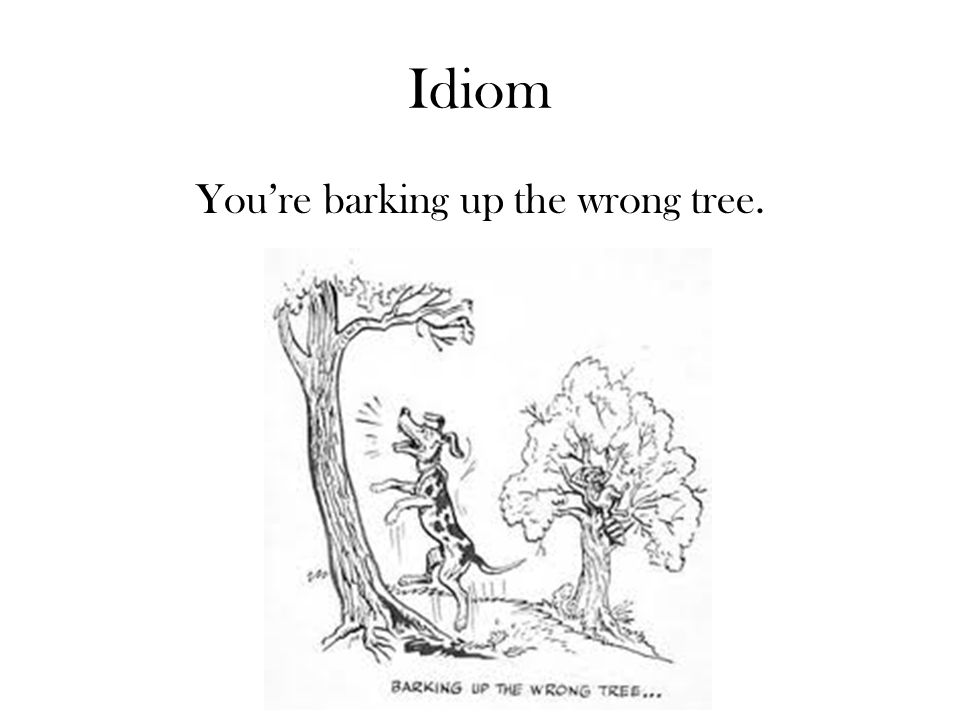 Idiom You’re barking up the wrong tree.