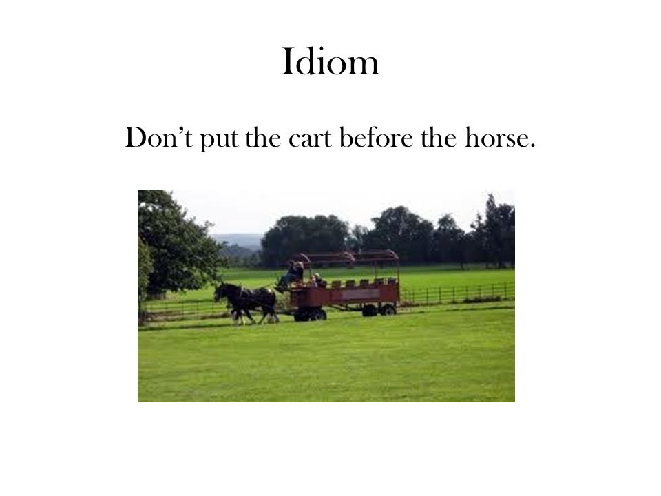 Idiom Don’t put the cart before the horse.