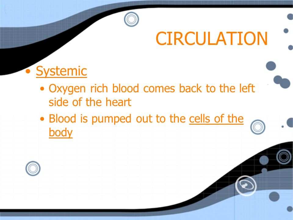 CIRCULATION Pulmonary Right side of the heart pumps oxygen poor blood from the heart to the lungs Pulmonary Right side of the heart pumps oxygen poor blood from the heart to the lungs