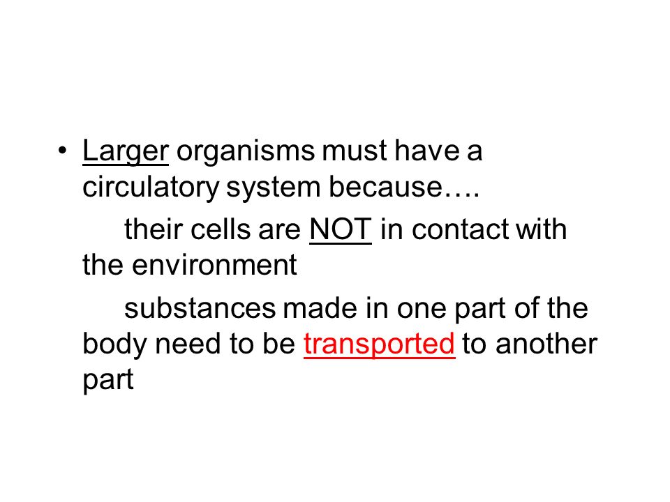 Why Have One. Small organisms with few cells don’t need one because…..