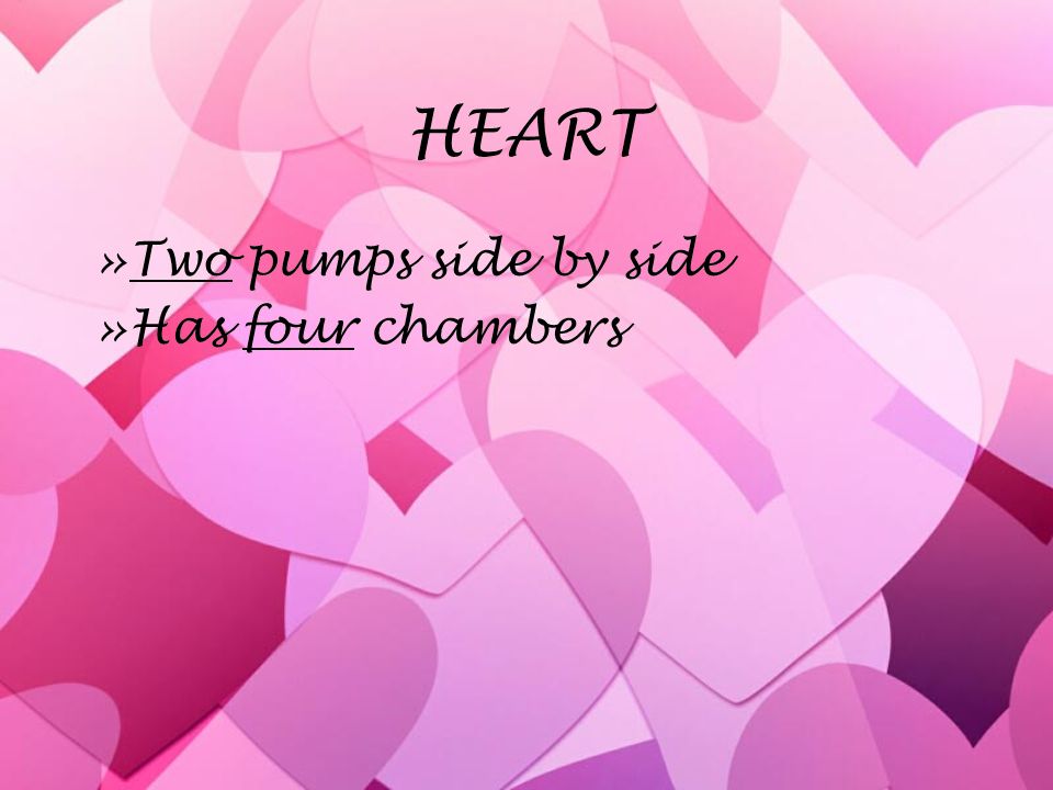 PARTS 1. Heart = pump 2. Blood vessels = tubes 3. Blood = liquid tissue