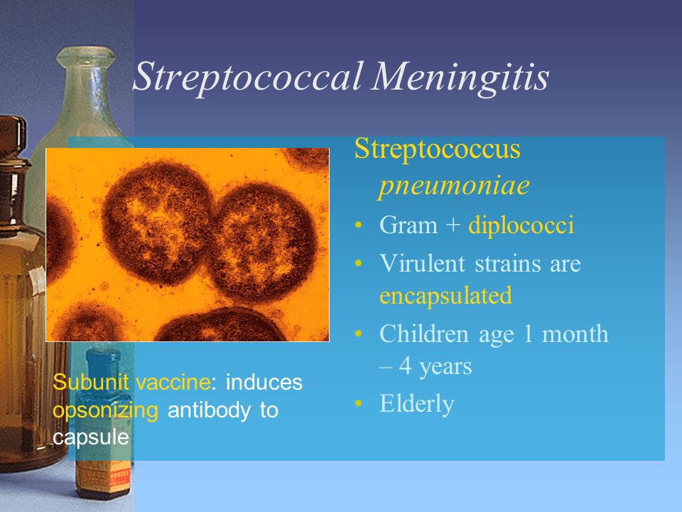 Streptococcal Meningitis Streptococcus pneumoniae Gram + diplococci Virulent strains are encapsulated Children age 1 month – 4 years Elderly Subunit vaccine: induces opsonizing antibody to capsule