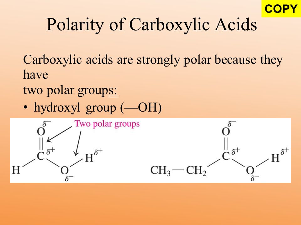 Polarity of Carboxylic Acids Carboxylic acids are strongly polar because they have two polar groups: hydroxyl group (—OH) carbonyl group (C O) COPY