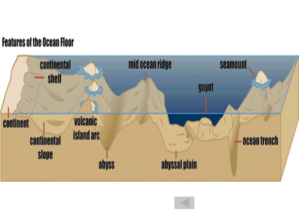 Landforms And Oceans Topics Fun Facts Natural Process Ocean Floor