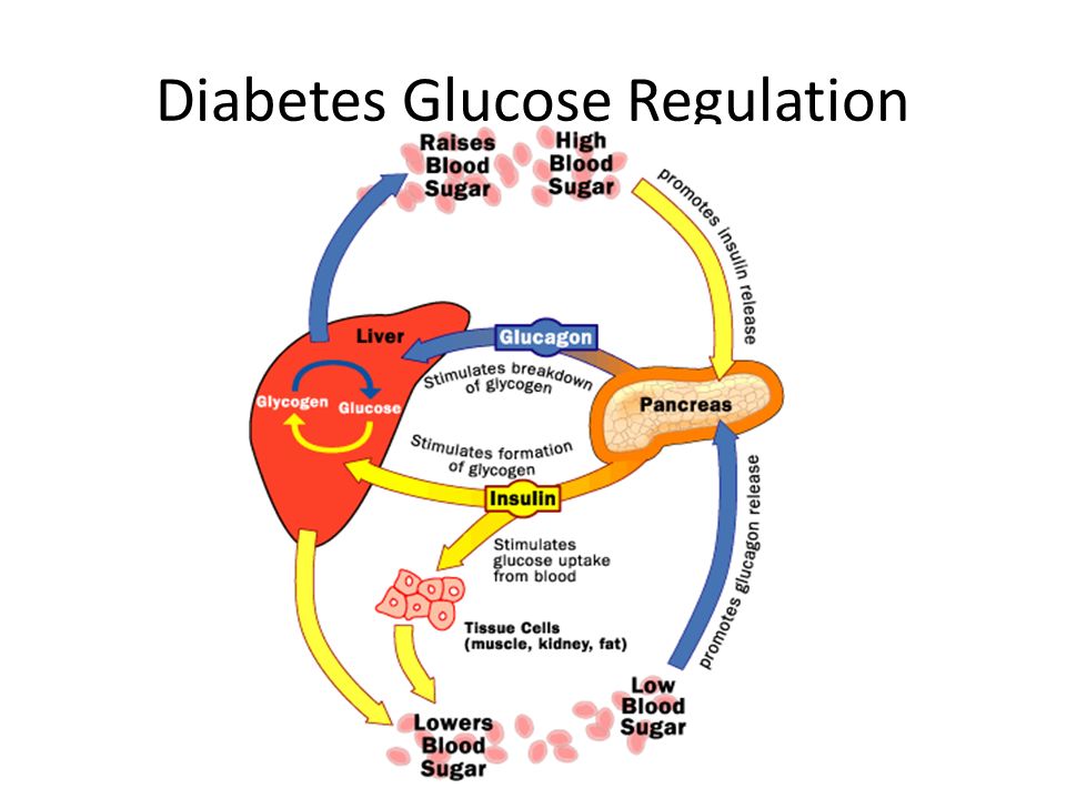 Diabetes Glucose Regulation.