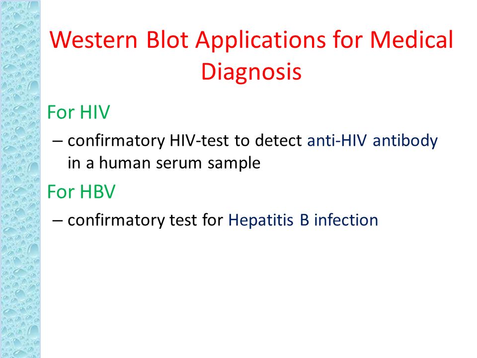 Western Blotting. Introduction … Western blotting, also known as  immunoblotting or protein blotting, is a technique used to detect the  presence of a specific. - ppt download