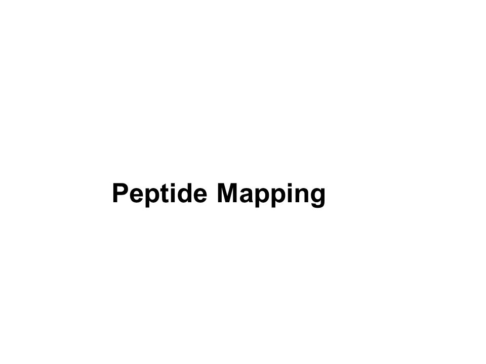 Peptide Mapping