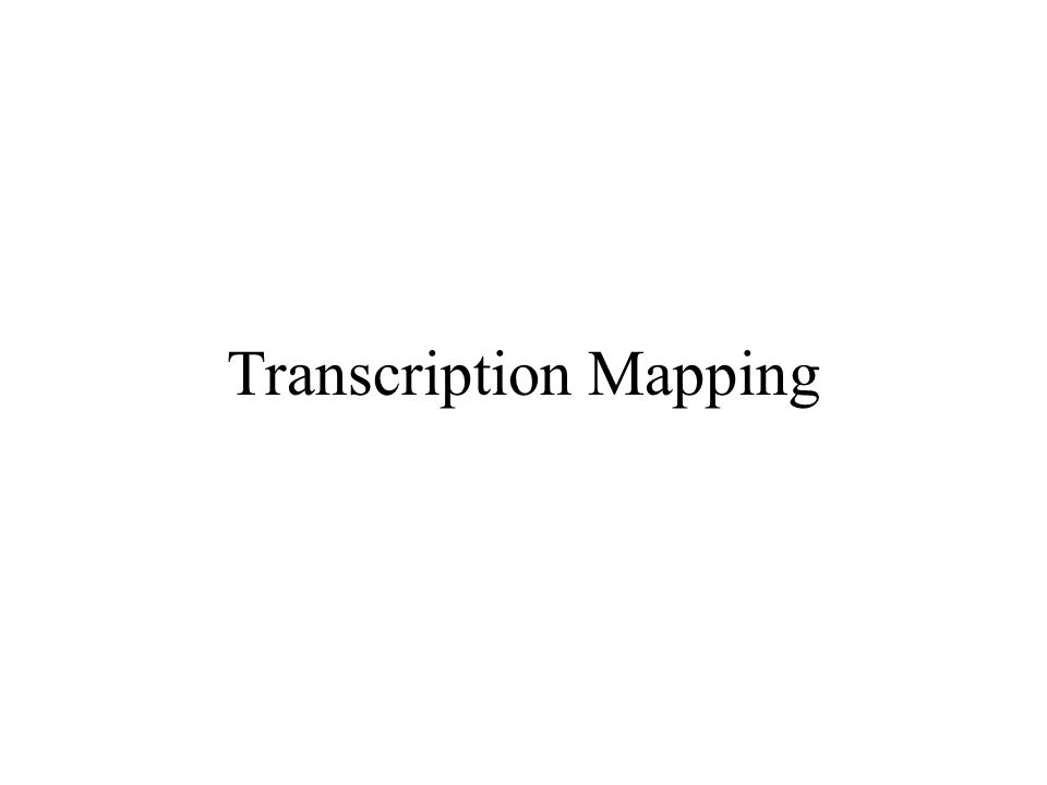 Transcription Mapping