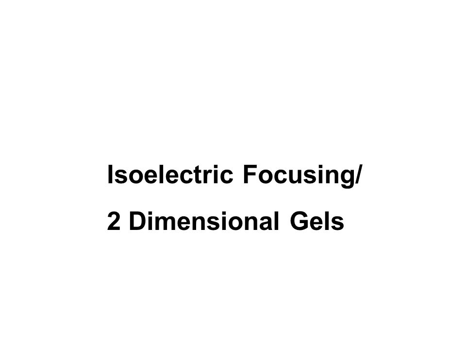 Isoelectric Focusing/ 2 Dimensional Gels