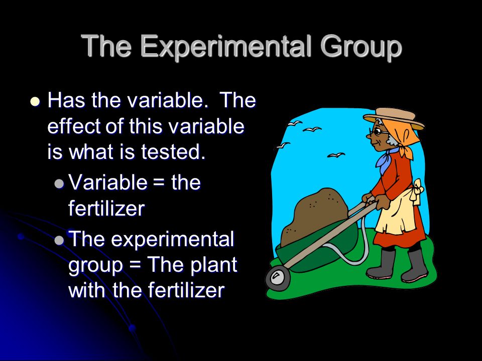 The Experimental Group Has the variable. The effect of this variable is what is tested.