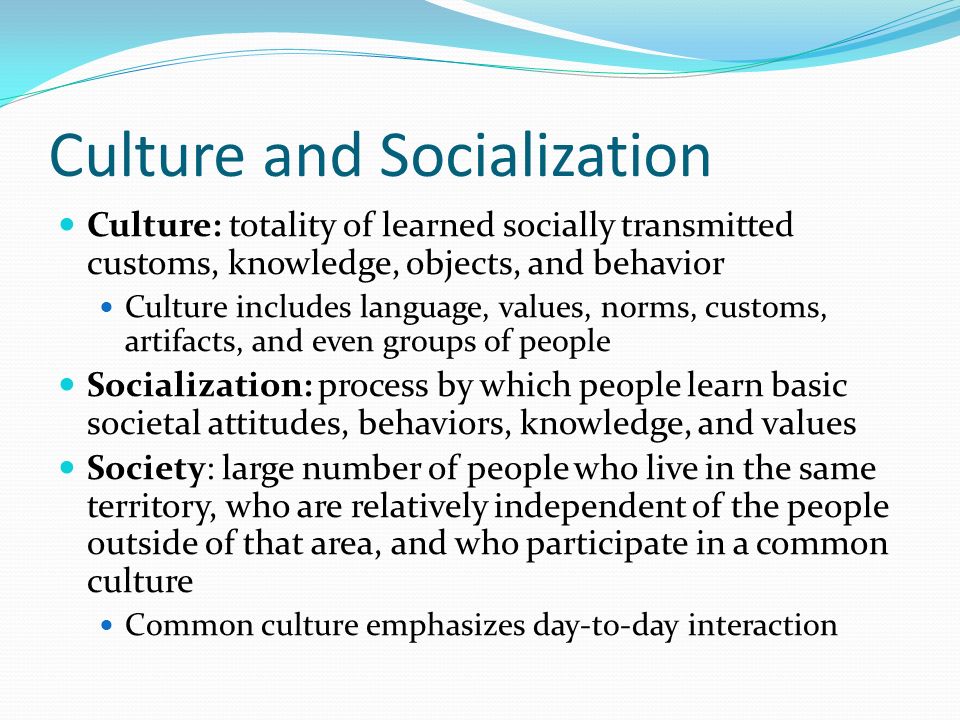 culture and socialization