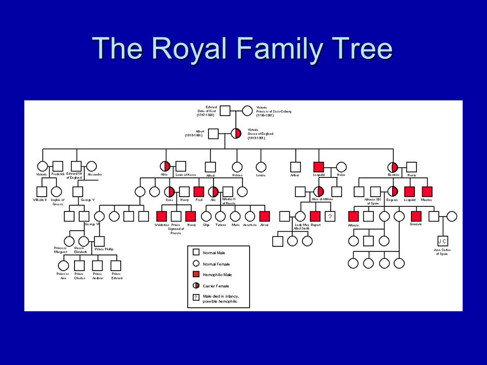 Royal Family Pedigree Chart