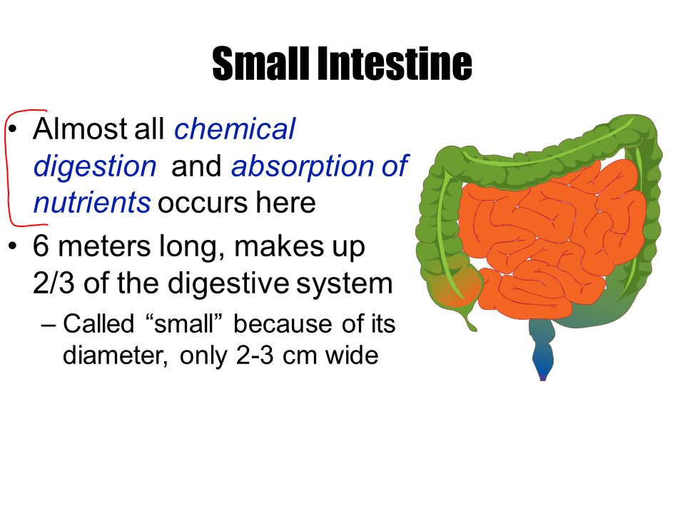 Used to think ulcers were caused by stress –tried to control with antacids Now know ulcers caused by bacterial infection of stomach –H.