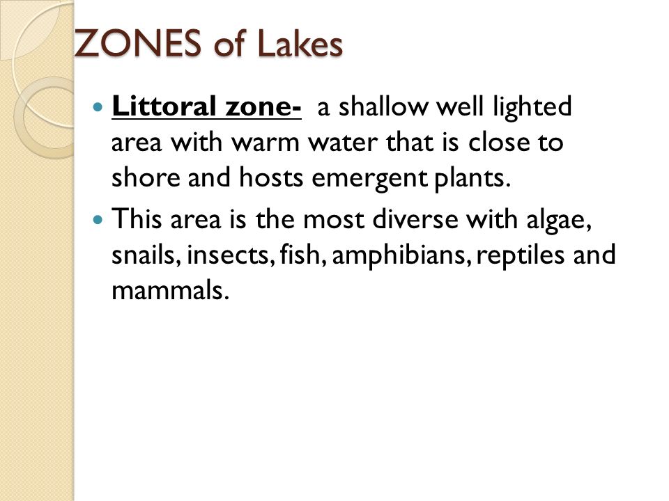 ZONES of Lakes Littoral zone- a shallow well lighted area with warm water that is close to shore and hosts emergent plants.