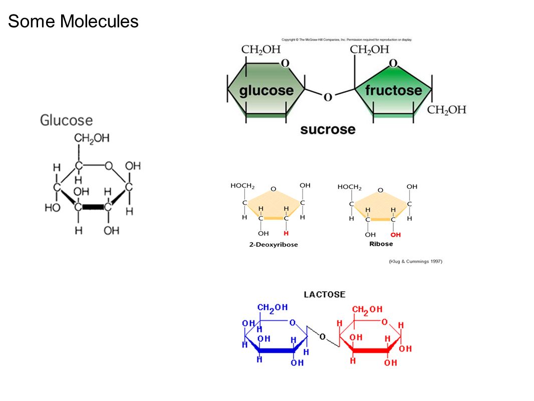 Some Molecules