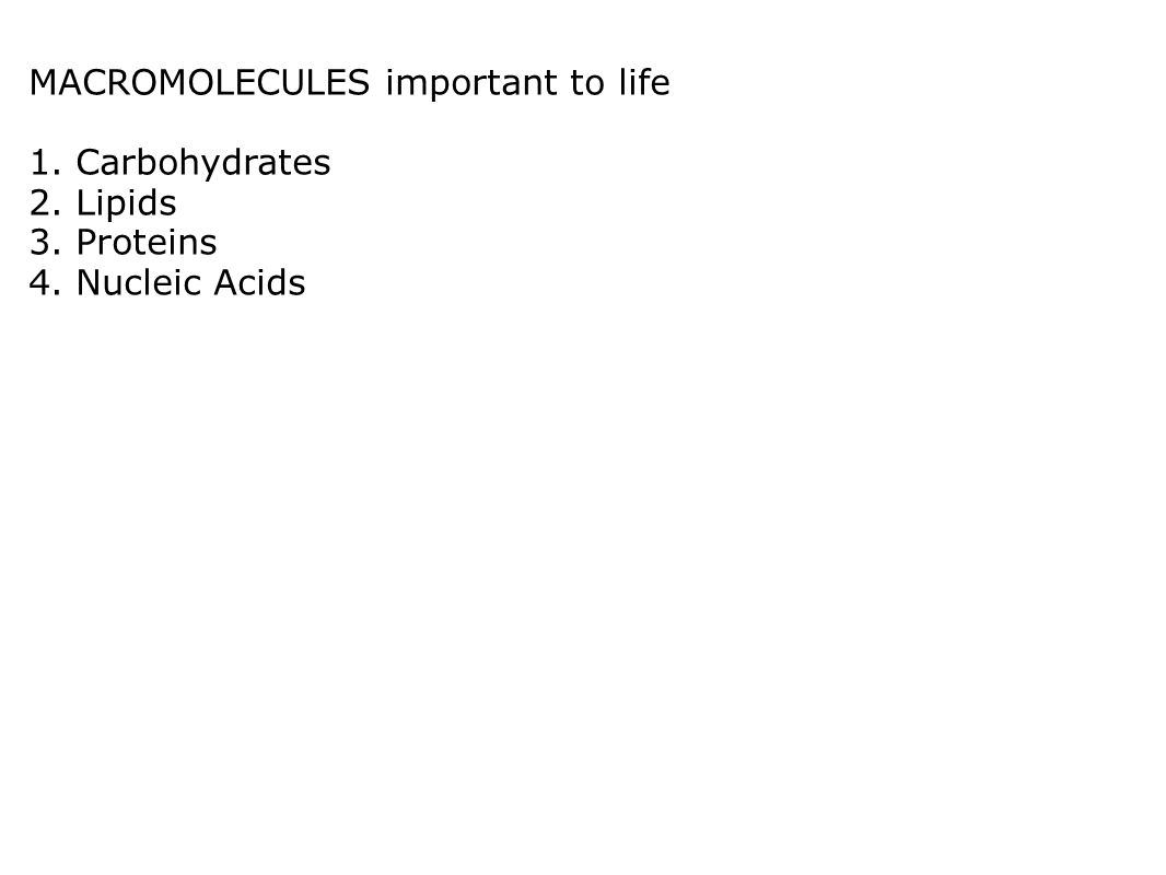 MACROMOLECULES important to life 1. Carbohydrates 2. Lipids 3. Proteins 4. Nucleic Acids
