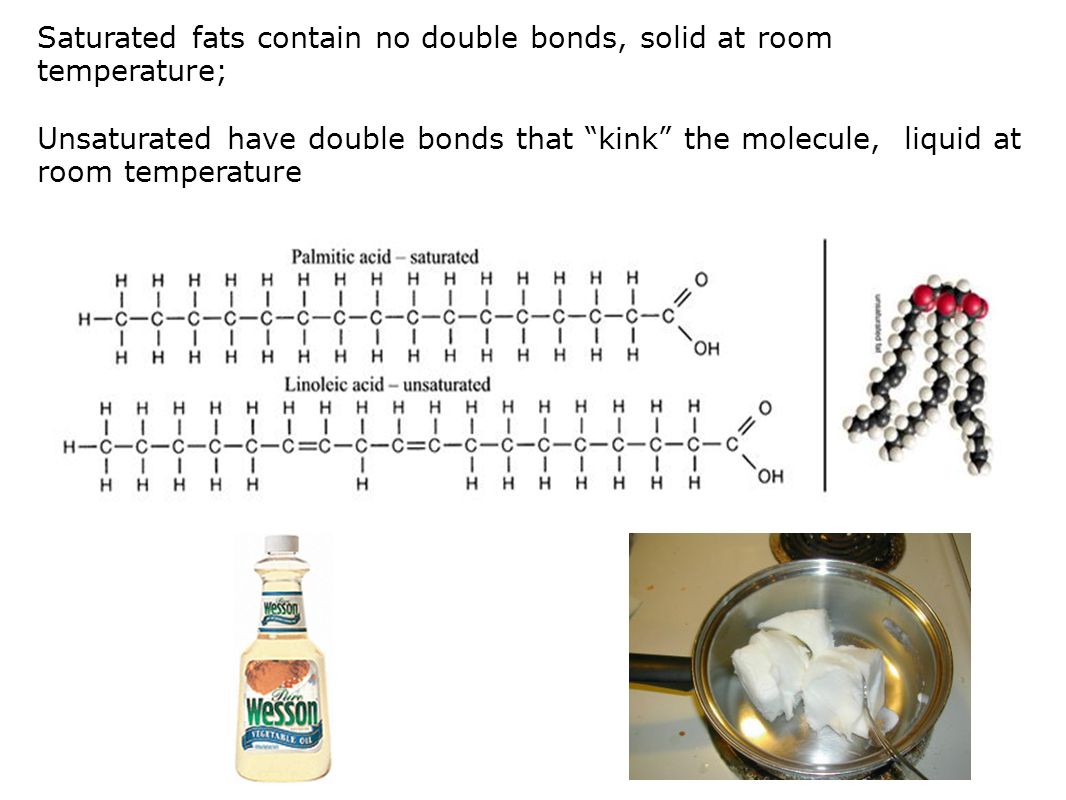 Saturated fats contain no double bonds, solid at room temperature; Unsaturated have double bonds that kink the molecule, liquid at room temperature