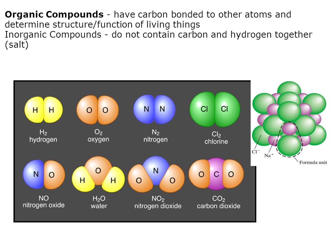 Organic Compounds - have carbon bonded to other atoms and determine structure/function of living things Inorganic Compounds - do not contain carbon and hydrogen together (salt)