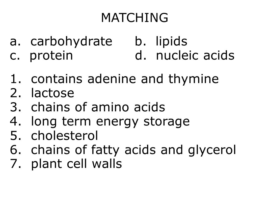 MATCHING a. carbohydrate b. lipids c. protein d.
