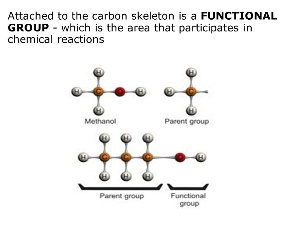 Attached to the carbon skeleton is a FUNCTIONAL GROUP - which is the area that participates in chemical reactions