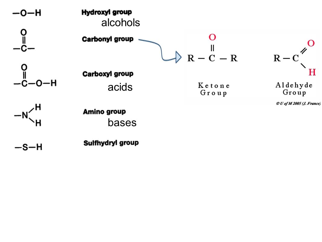 alcohols acids bases