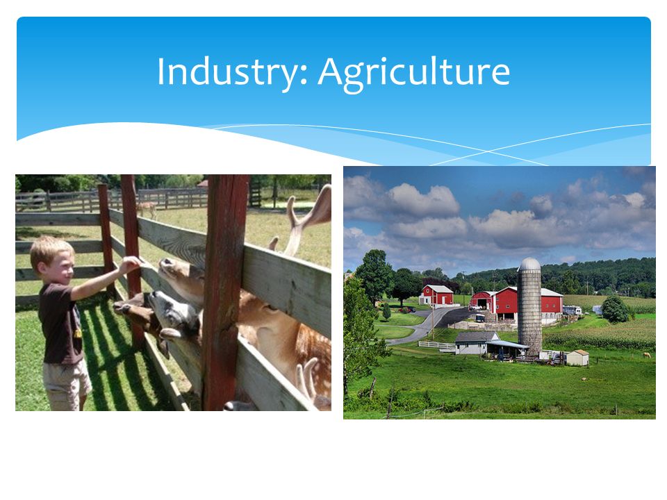 Industry: Agriculture