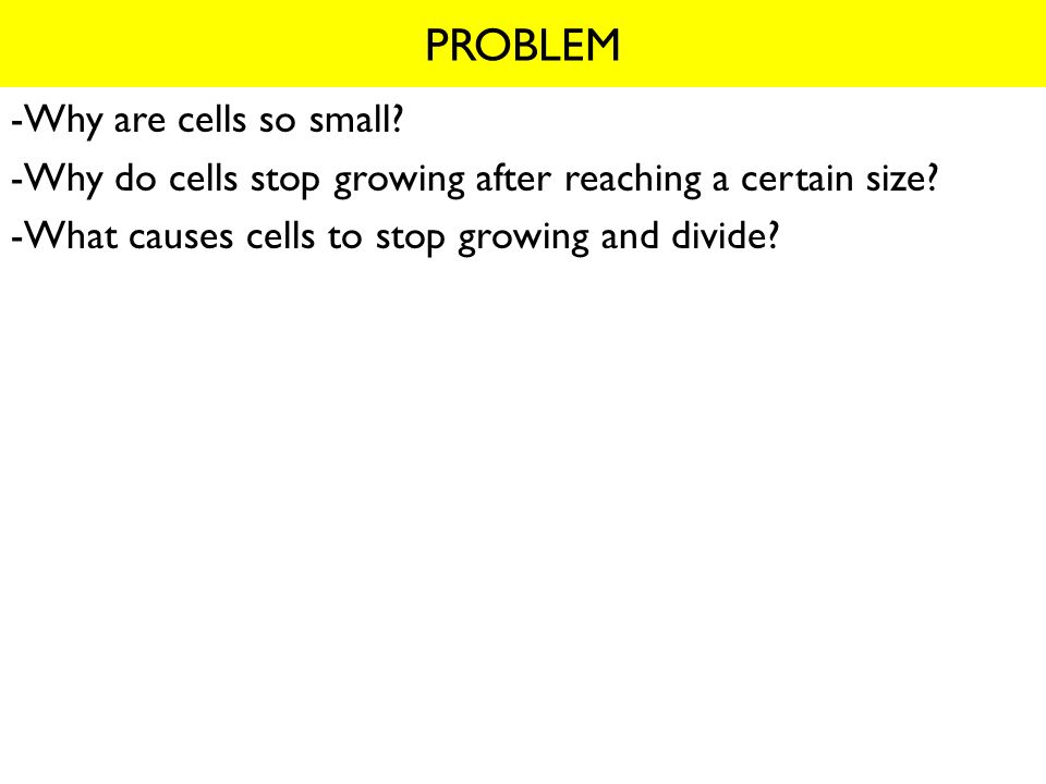 cell size lab agar