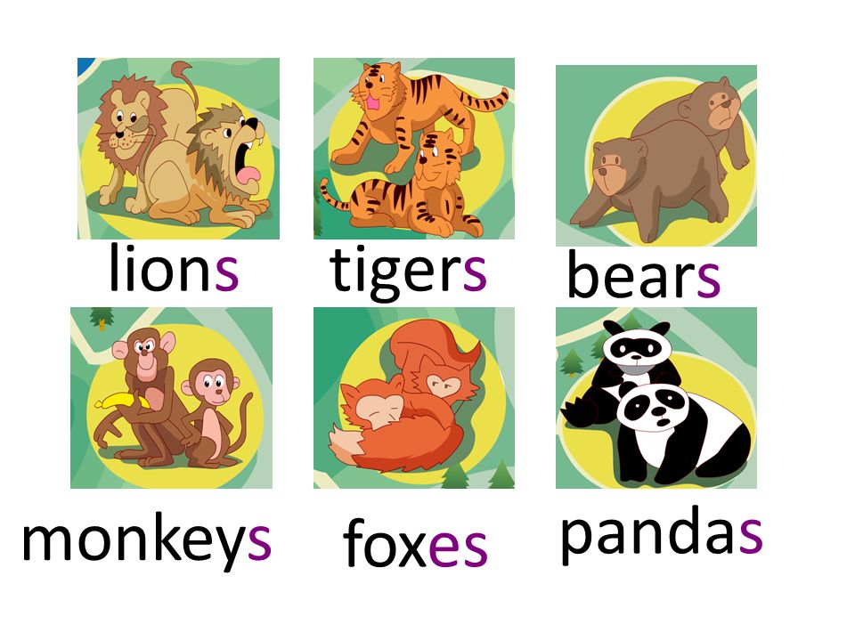 What animal can you see in the zoo? How are they? What colour are they?  What can they do? We can see all kinds of animals in the zoo. There are  ____, -