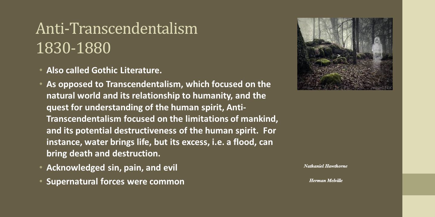 anti transcendentalism definition