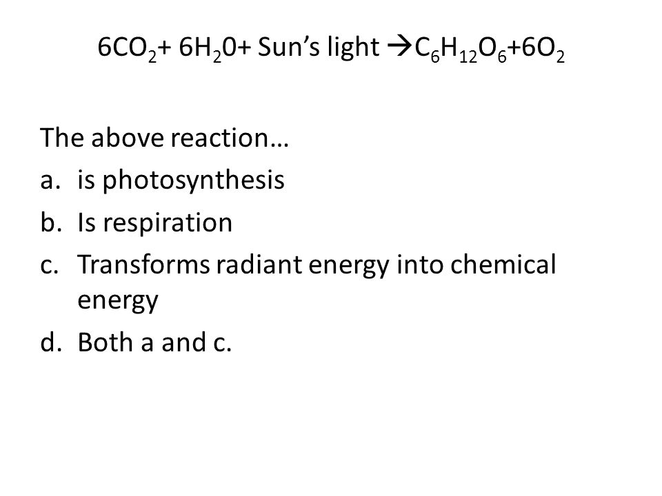 6CO 2 + 6H 2 0+ Sun’s light  C 6 H 12 O 6 +6O 2 The above reaction… a.is photosynthesis b.Is respiration c.Transforms radiant energy into chemical energy d.Both a and c.
