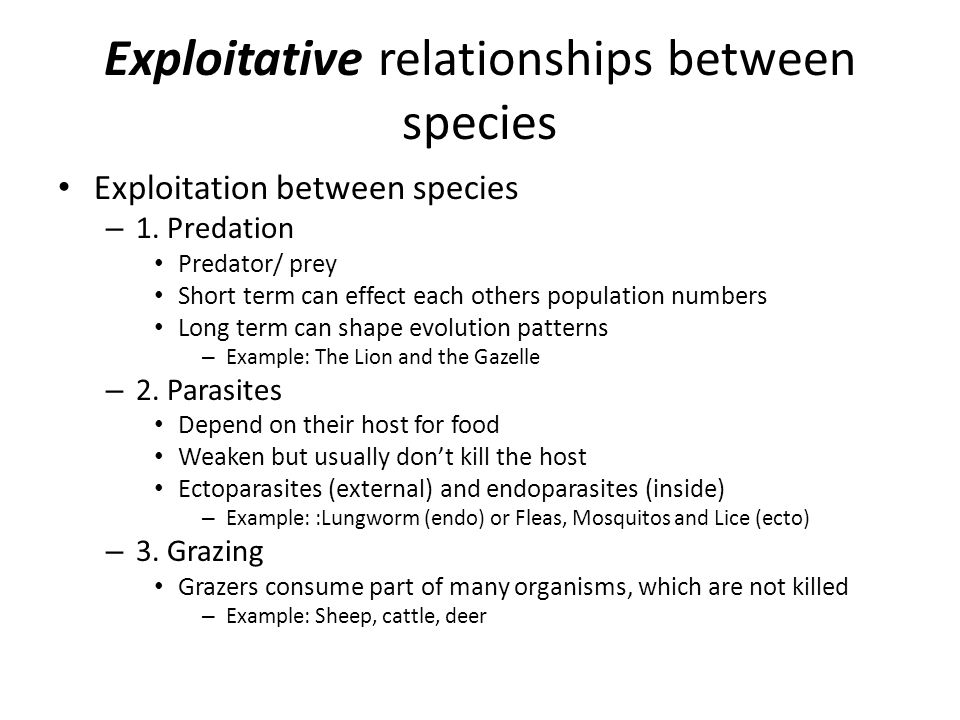 Year 13 Biology Species Relationships Can Be 1 Positive Co